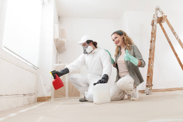 Trusted Millbrae, CA Mold Removal Experts