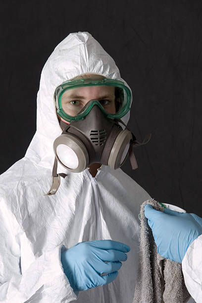Asbestos and Lead Testing During Mold Inspection in Millbrae, CA